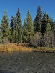 A beutiful river runs through the Oregon forest on a nice fall day.