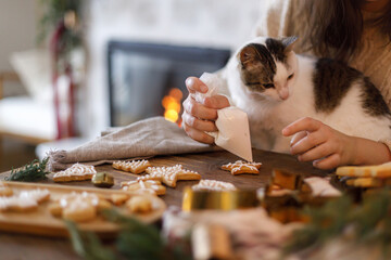 Woman with cute cat making gingerbread christmas cookies together. Hands decorating cookies with icing on table with sweet cat against fireplace, atmospheric eve. Winter holiday preparation