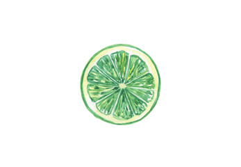 Watercolor Vibrant Green Lime Slice
