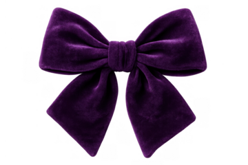 Purple velvet bow knot for gifts and events, creating a luxurious decorative accent with elegant textile texture