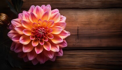 a vibrant dahlia contrasting against rustic wooden texture for a natural aesthetic