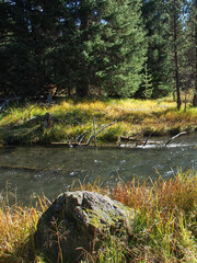 A beautiful river runs through the Oregon forest on a nice fall day.