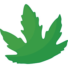 A Vibrant Green Leaf with Serrated Edges Isolated on a Transparent Background in Natural Lighting