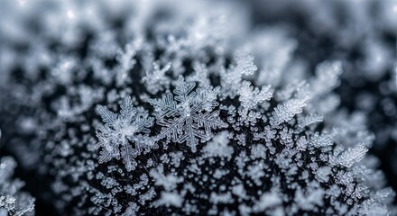 Macro shot of intricate ice crystals forming a delicate pattern.