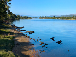 Fototapete bei efototapeten.de bestellen   
