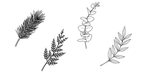 Obraz premium Botanical Sprig Icon Set Minimalist Line Art Flat Vector