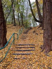 Staircase leading up into the forest covered with fallen leaves, late autumn.