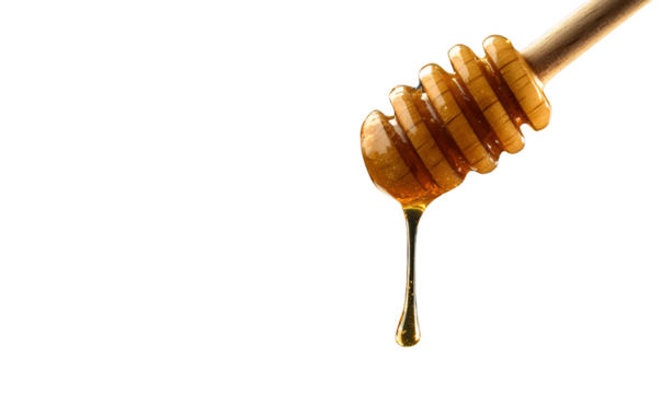 Golden honey slowly dripping from a wooden dipper, isolated on a transparent background