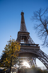Walking in Paris in autumn, view on part trees and iconic Eiffel tower in daytime
