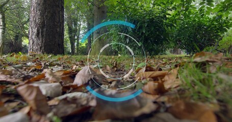 Fototapeta premium Floating hazy AR overlay hovering above leafy forest floor in woodland with leaves and twigs
