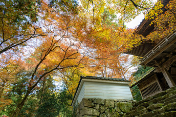 Autumn color at Kogenji temple in Tanba, Hyogo prefecture, Japan
