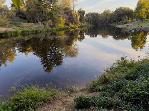 UC Davis Arboretum Pond at Sunset