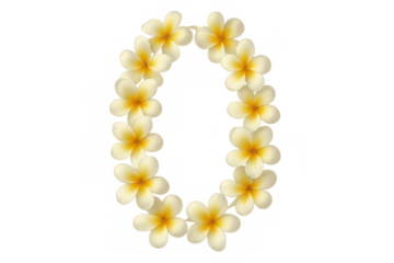 Letter o formed by blooming tropical plumeria flowers on transparent background, conveying hawaii or island theme