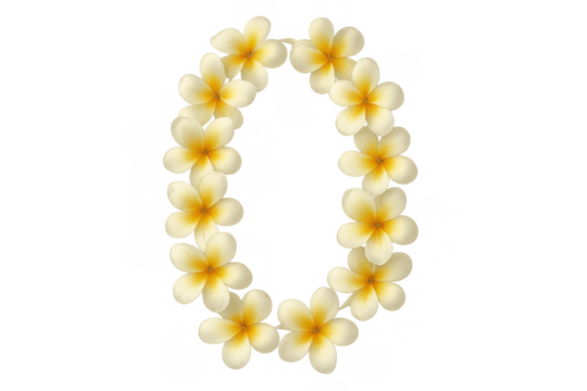 Letter o formed by blooming tropical plumeria flowers on transparent background, conveying hawaii or island theme