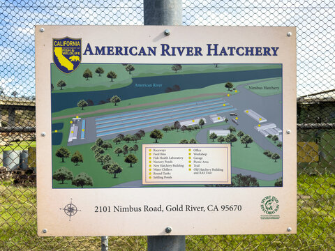 American River Hatchery Map Sign at Nimbus Dam in Gold River.