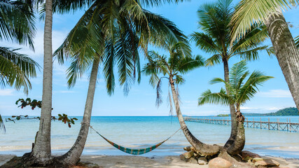 Relaxing hammock between palm trees on Koh Kood Island with clear blue waters