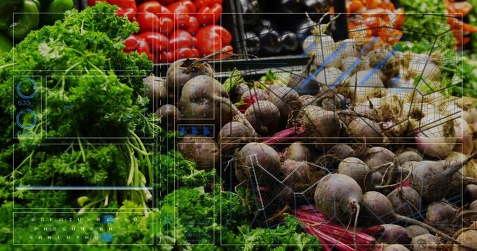 Translucent overlay appearing on frame two, scanning beetroots and greens for mapping