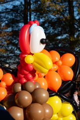 Colorful festive Thanksgiving turkey made out of balloons