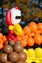 Colorful festive Thanksgiving turkey made out of balloons