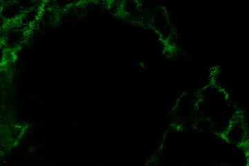 Black marble green pattern luxury texture for do ceramic kitchen light white tile background stone wall granite floor natural seamless style vintage for interior decoration and outside.

