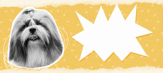 Shih Tzu dog with tongue out halftone cut out, contemporary banner collage. Use for ads,promotions,sales,open hours at pet shop, competitions, etc.