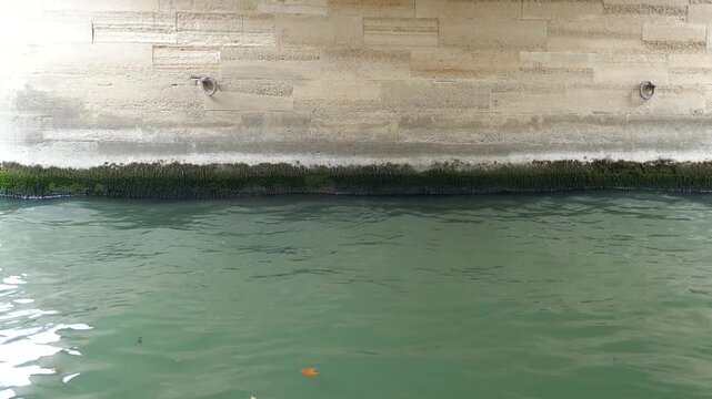 River wall with algae and water waves moving