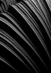 Contemporary Artistic Visual Piece