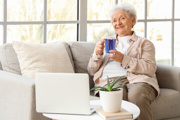 Senior woman with glass cup of butterfly pea flower tea and laptop sitting on sofa near window in living room