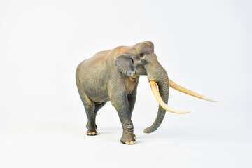  Stegodon animal on isolated background