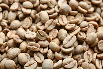 Green coffee beans as background, closeup