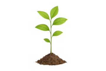 Young plant shoot growing from soil pile, symbolizing new life, growth, and environmental care on transparent background