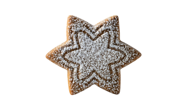 Star-shaped cookie dusted with powdered sugar, holiday treat