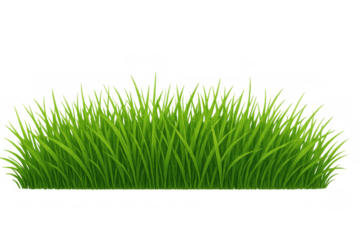 Fresh green grass bordering a clean edge, creating a lush natural ground cover. Perfect for spring and summer designs