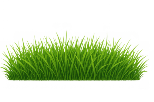 Fresh green grass bordering a clean edge, creating a lush natural ground cover. Perfect for spring and summer designs