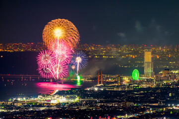 和泉山地からの大阪の夜景と花火大会