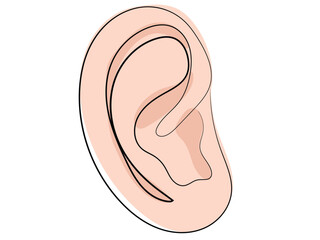 Ears in a continuous line pattern