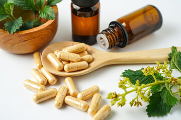 Alternative medicine herbal organic capsule vitamin E omega 3 fish oil drug herbs leaf natural