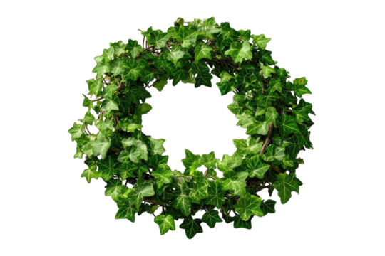 Circular wreath of vibrant green leaves - Powered by Adobe