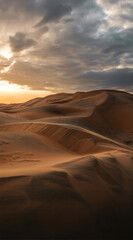 Golden desert sunset
