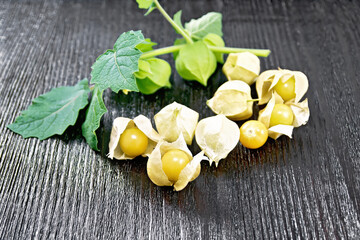 Physalis on black board