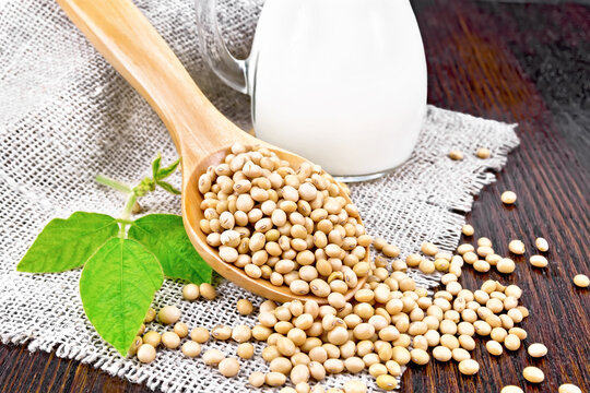 Soybeans in spoon with milk on board