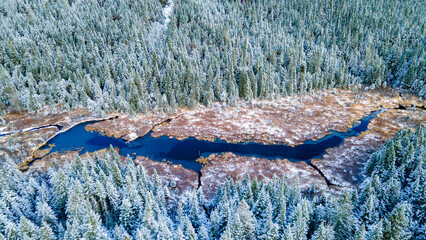 Aerial view of a marsh surrounded by a snow-covered spruce forest