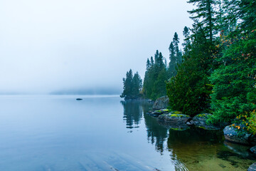 Forest reflected in a mist-covered lake on an autumn morning