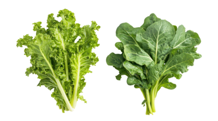 Fresh turnip greens and mustard greens overhead two sets side by side on transparent background