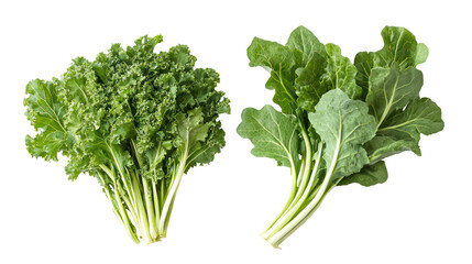Fresh turnip greens and mustard greens overhead two sets side by side on transparent background