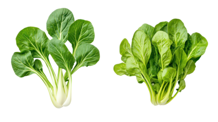 Fresh watercress and bok choy leaves overhead two sets side by side on transparent background