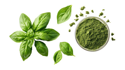 Fresh basil leaves and dried basil flakes isolated on transparent background