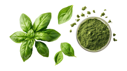 Fresh basil leaves and dried basil flakes isolated on transparent background