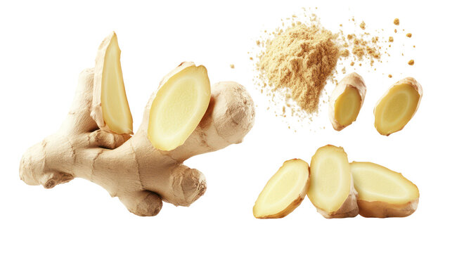 Fresh ginger root with slices and powder isolated on transparent background