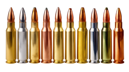 Ammunition Display: A collection of rifle bullets, arranged in a row, showcases the diverse range of ammunition available, emphasizing the power and precision engineered within each casing.